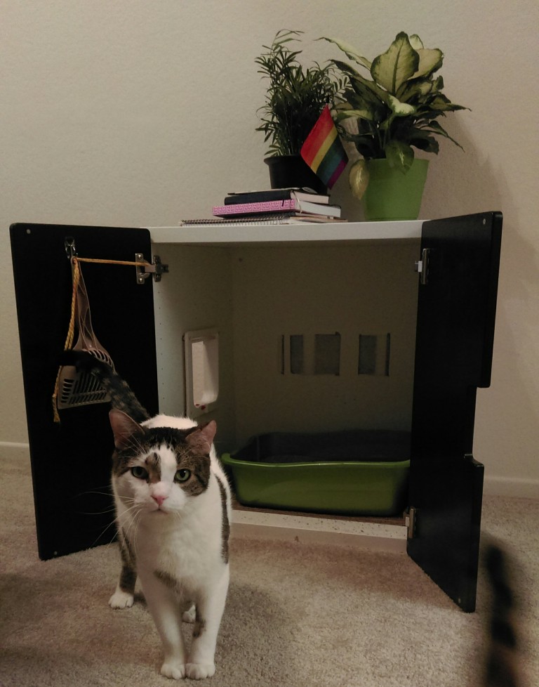 Weekend Project: Mastering The DIY Hidden Litter Box