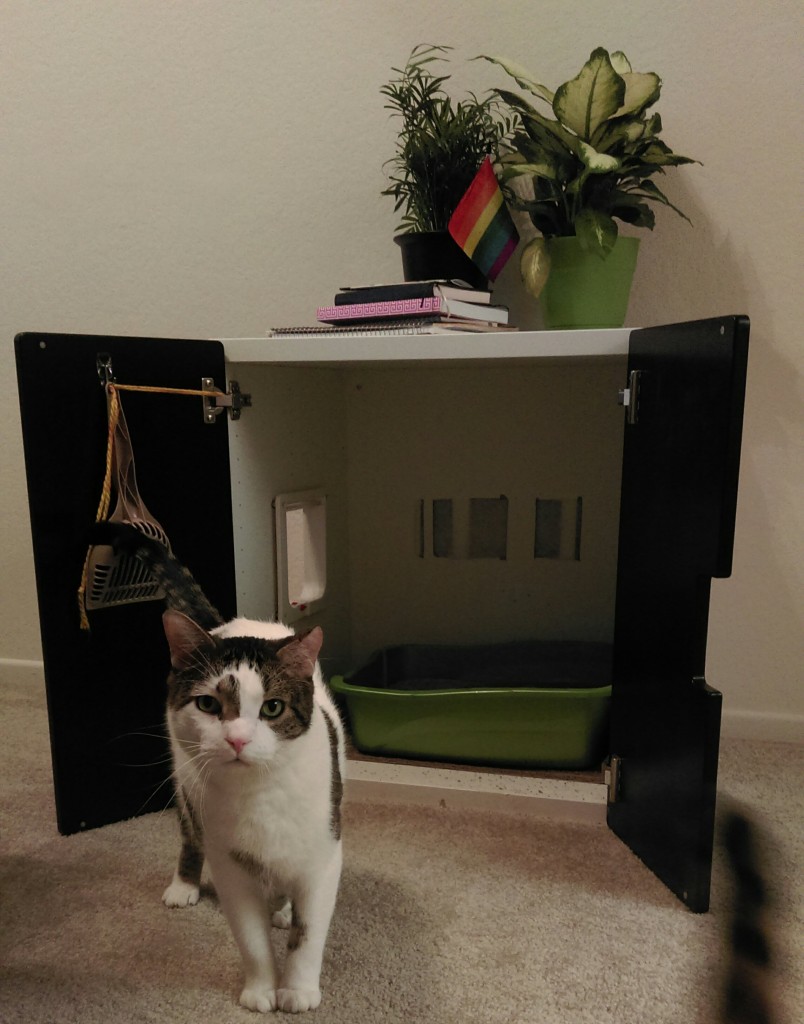 DIY hidden litter box