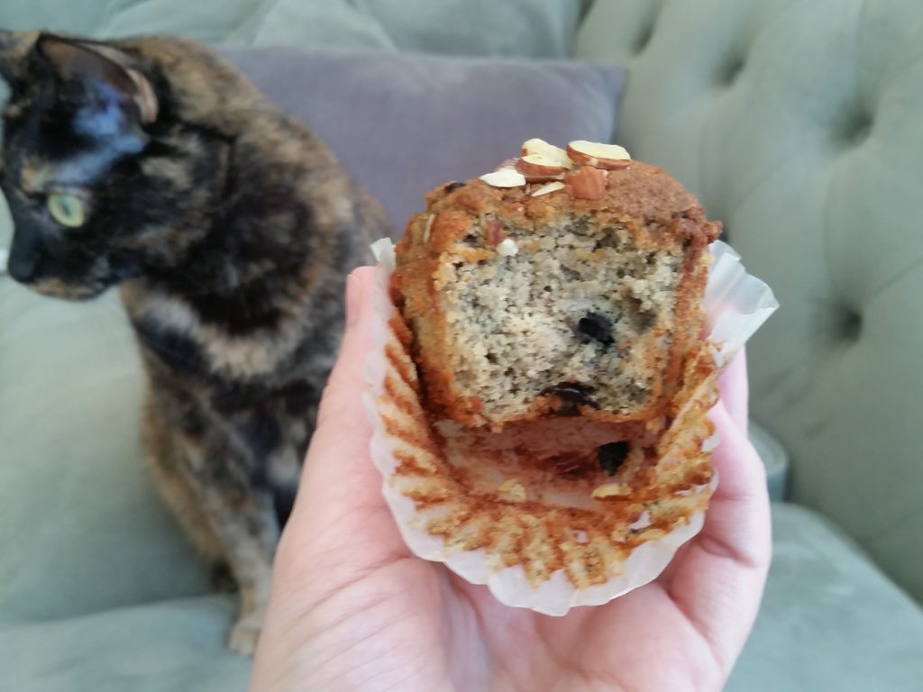 Blueberry Muffin kitchfix review